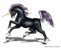 Alane Fieldson - Black unicorn